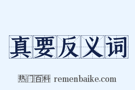 真要反义词是什么意思的图片